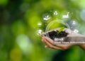 human hand holding green environmental tree ESG icon Society and Governance sustainable environmental concept of the world