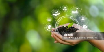 human hand holding green environmental tree ESG icon Society and Governance sustainable environmental concept of the world